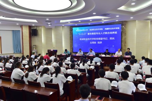 1599463881763235127.jpg 10.jpg